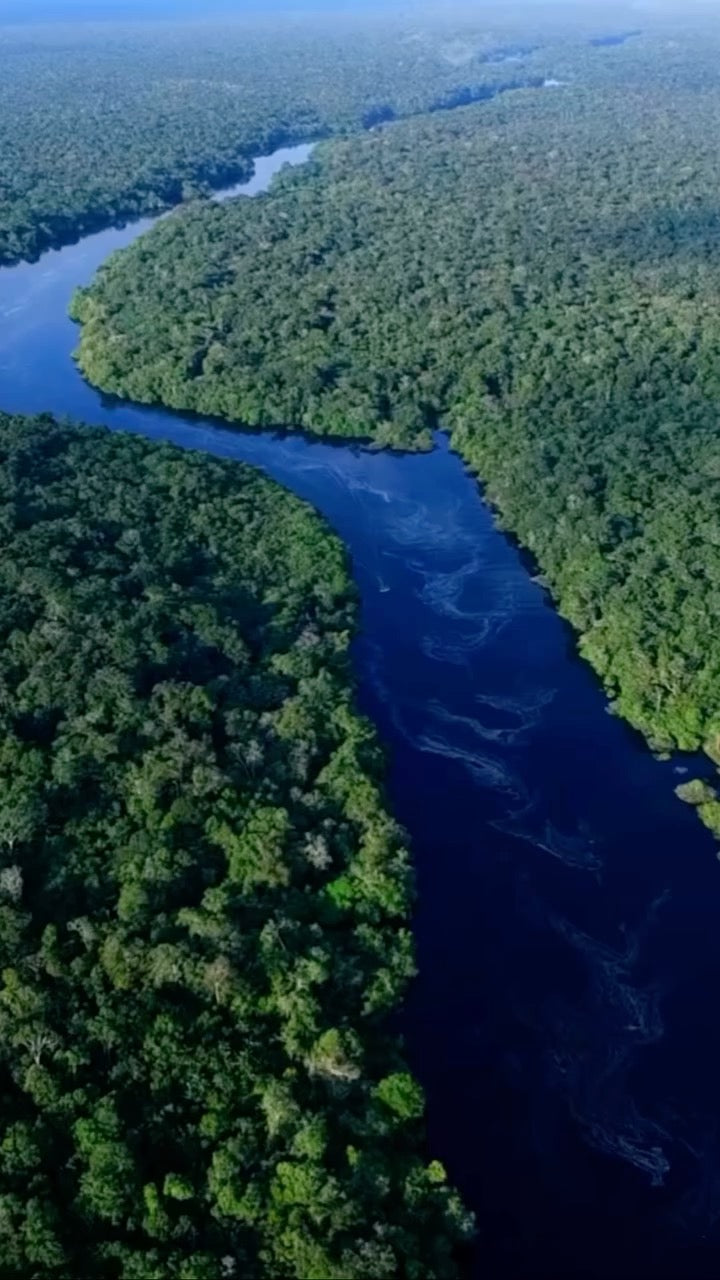 Protector solar Suppuru 360 de 50 ml